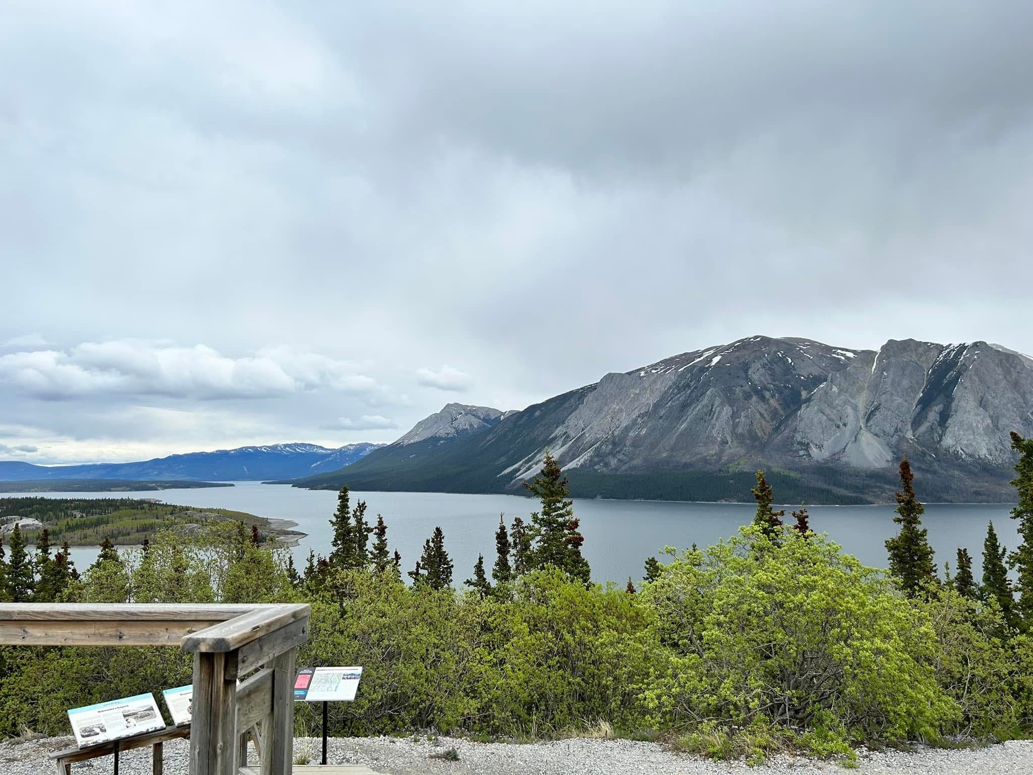 Cruise Brothers Travel Agent Daun Sanders